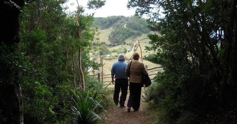 Caminata Fotográfica